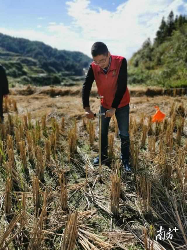 技術(shù)人員深入田間地頭開展土壤取樣、分析。通訊員供圖