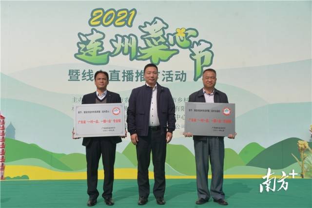 西岸鎮(zhèn)被評為廣東省“一村一品 一鎮(zhèn)一業(yè)”專業(yè)鎮(zhèn)（連州菜心），龍坪鎮(zhèn)被評為廣東省“一村一品 一鎮(zhèn)一業(yè)”專業(yè)鎮(zhèn)（連州水晶梨）。張曉欣 攝