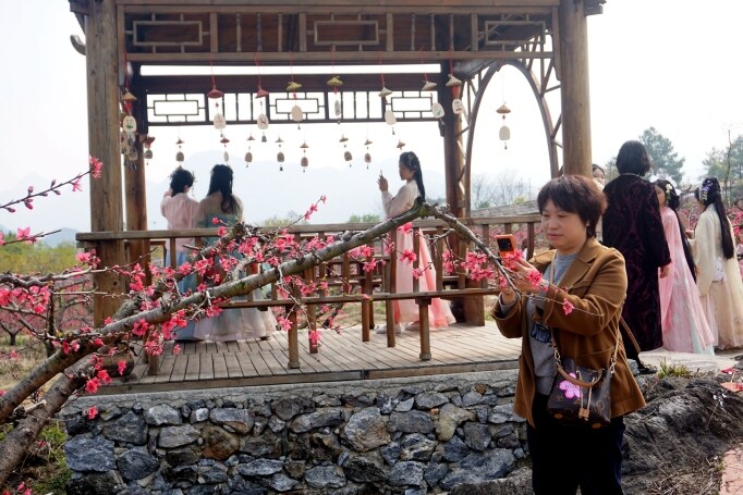 桃花節(jié)在九陂鎮(zhèn)開(kāi)幕，迎來(lái)八方游客。清遠(yuǎn)日?qǐng)?bào)記者 周璐攝。