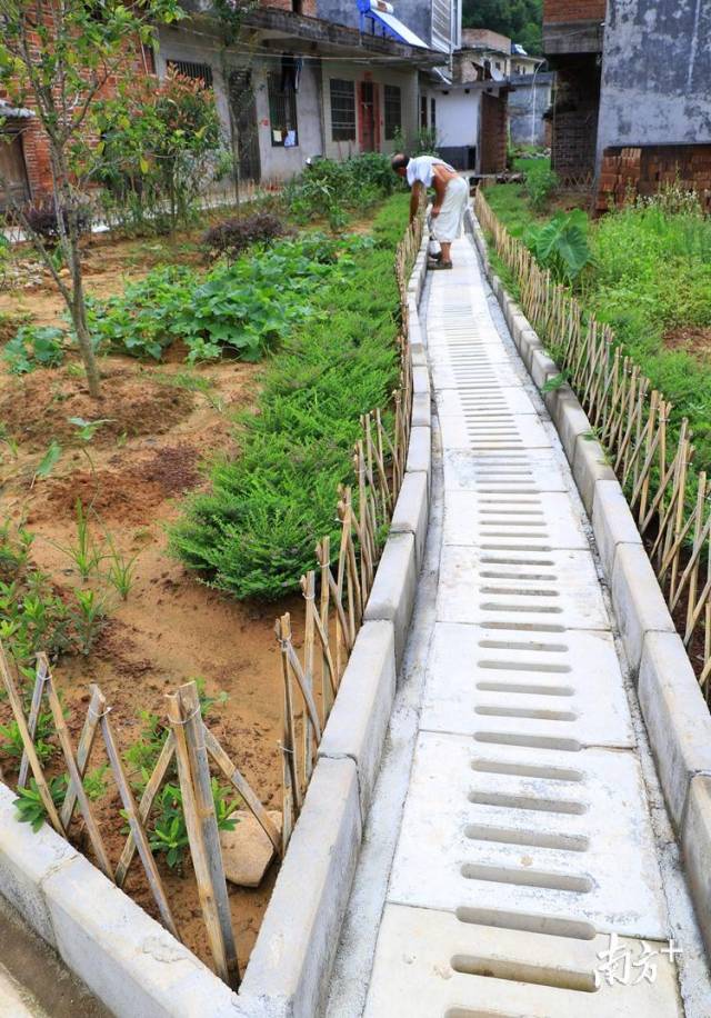 50個自然村建有污水處理系統(tǒng)。記者黃津 攝