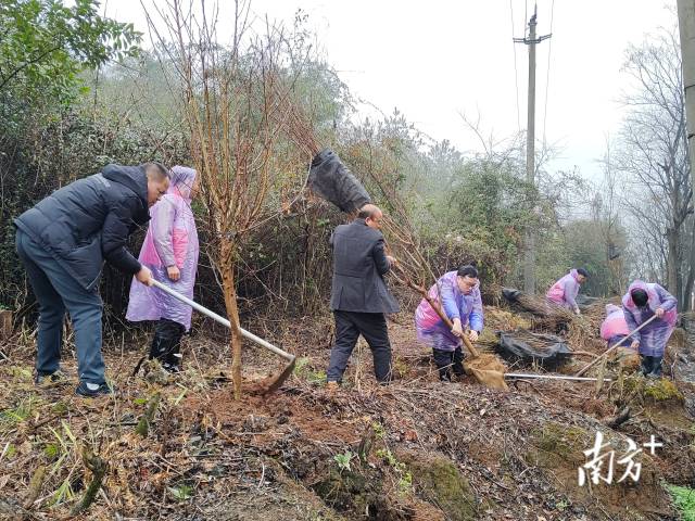 九陂鎮(zhèn)掀起全民義務(wù)植樹熱潮。