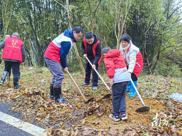 植樹現(xiàn)場(chǎng)。